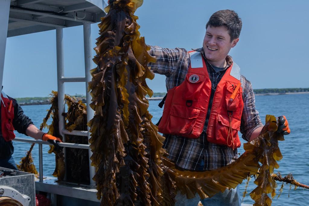 A U N E student holding sea kelp