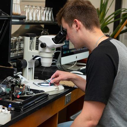 A student looks into a microscope