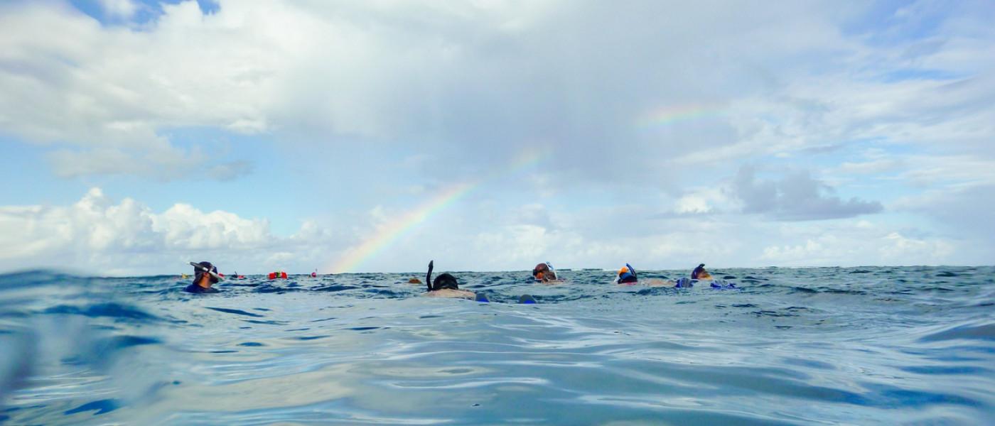 Snorkeling in 伯利兹 on the Surface Under a Rainbow